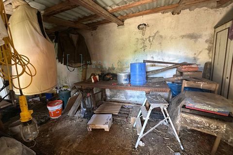Terra a Albenga, Savona, Albenga - € 130.000 | Ref: 1047 - foto 18