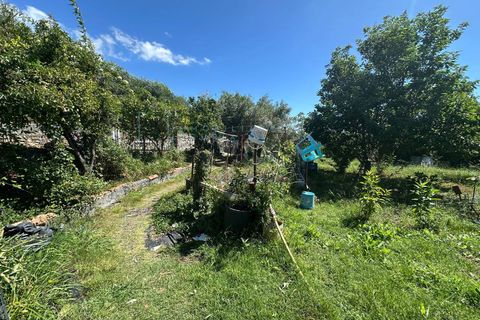 Terra a Albenga, Savona, Albenga - € 130.000 | Ref: 1047 - foto 21