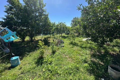 Terra a Albenga, Savona, Albenga - € 130.000 | Ref: 1047 - foto 22