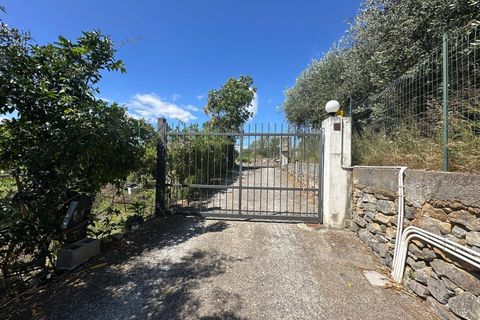 Terra a Albenga, Savona, Albenga - € 130.000 | Ref: 1047 - foto 23