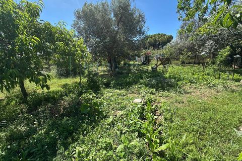 Terra a Albenga, Savona, Albenga - € 130.000 | Ref: 1047 - foto 24