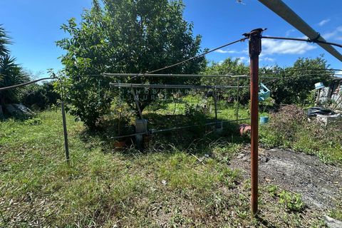 Terra a Albenga, Savona, Albenga - € 130.000 | Ref: 1047 - foto 25