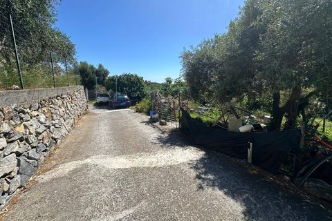 Terra a Albenga, Savona, Albenga - € 130.000 | Ref: 1047 - foto 26