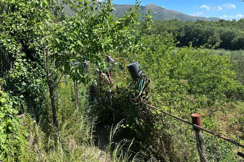 Terra a Albenga, Savona, Albenga - € 130.000 | Ref: 1047 - foto 27