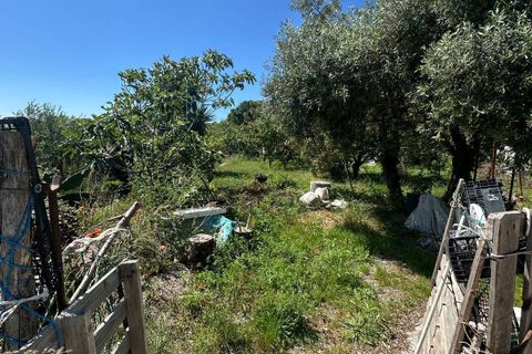 Terra a Albenga, Savona, Albenga - € 130.000 | Ref: 1047 - foto 29