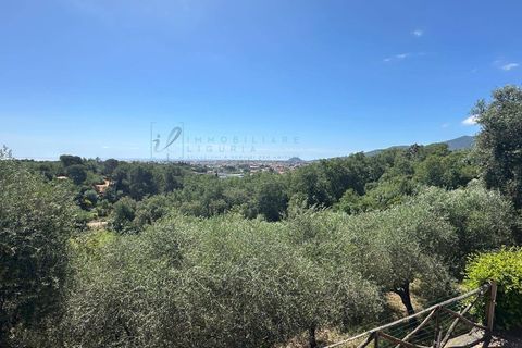 Terra a Albenga, Savona, Albenga - € 130.000 | Ref: 1047 - foto 30