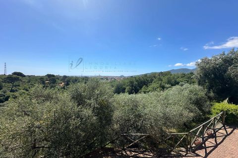 Terra a Albenga, Savona, Albenga - € 130.000 | Ref: 1047 - foto 31