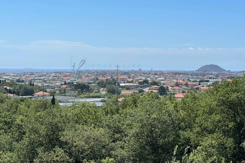Terra a Albenga, Savona, Albenga - € 130.000 | Ref: 1047 - foto 32