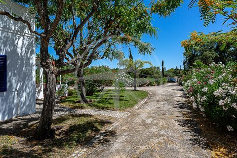 Villa i Tavira, Faro, Tavira - € 799.000 | Ref: V-ABR - foto 24