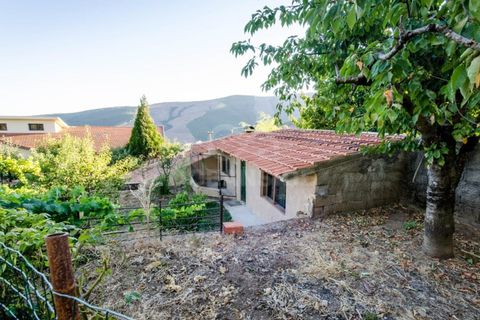 Farm i Covilha, Castelo Branco, Covilha - € 450.000 | Ref: OSE26037.RM - foto 4
