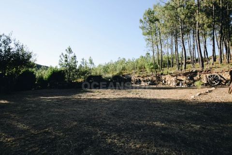 Farm i Covilha, Castelo Branco, Covilha - € 450.000 | Ref: OSE26037.RM - foto 6