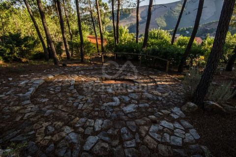 Farm i Covilha, Castelo Branco, Covilha - € 450.000 | Ref: OSE26037.RM - foto 8