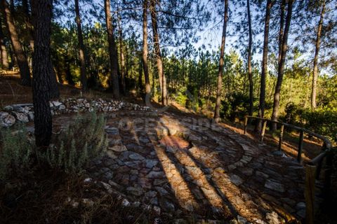 Farm i Covilha, Castelo Branco, Covilha - € 450.000 | Ref: OSE26037.RM - foto 9
