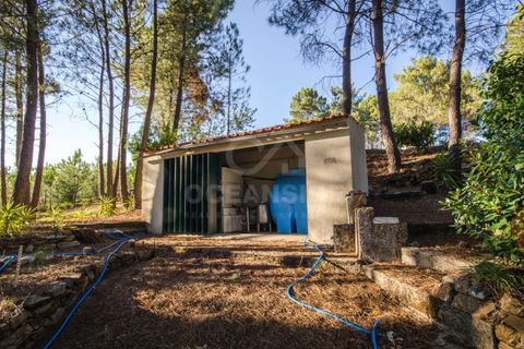 Farm i Covilha, Castelo Branco, Covilha - € 450.000 | Ref: OSE26037.RM - foto 12