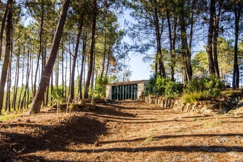 Farm i Covilha, Castelo Branco, Covilha - € 450.000 | Ref: OSE26037.RM - foto 13