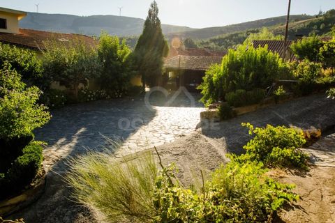 Farm i Covilha, Castelo Branco, Covilha - € 450.000 | Ref: OSE26037.RM - foto 19