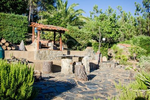 Farm i Covilha, Castelo Branco, Covilha - € 450.000 | Ref: OSE26037.RM - foto 20