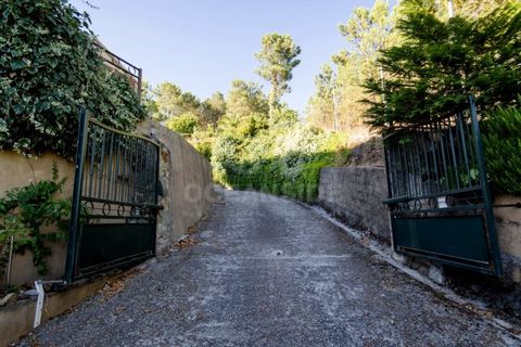 Farm i Covilha, Castelo Branco, Covilha - € 450.000 | Ref: OSE26037.RM - foto 30