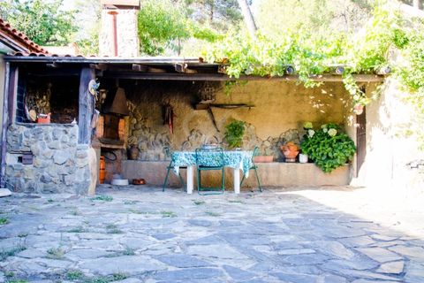 Farm i Covilha, Castelo Branco, Covilha - € 450.000 | Ref: OSE26037.RM - foto 33
