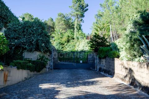 Farm i Covilha, Castelo Branco, Covilha - € 450.000 | Ref: OSE26037.RM - foto 36