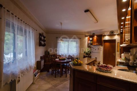 Farm i Covilha, Castelo Branco, Covilha - € 450.000 | Ref: OSE26037.RM - foto 45