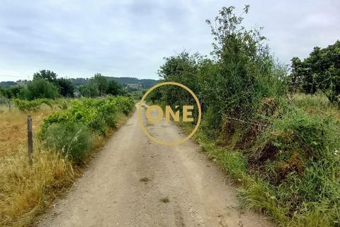 Terra a Chamusca, Santarem, Chamusca - € 110.000 | Ref: ONE501995-14 - foto 2