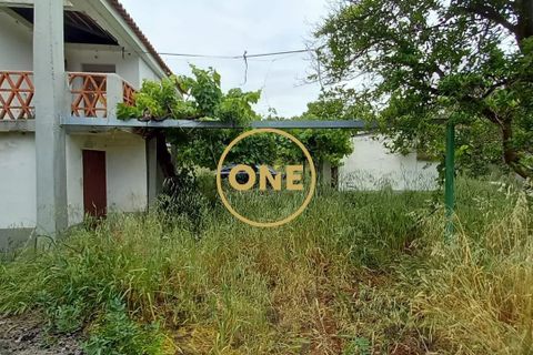 Terra a Chamusca, Santarem, Chamusca - € 110.000 | Ref: ONE501995-14 - foto 4