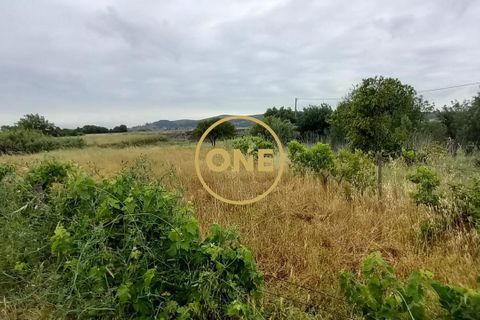 Terra a Chamusca, Santarem, Chamusca - € 110.000 | Ref: ONE501995-14 - foto 5