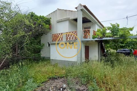 Terra a Chamusca, Santarem, Chamusca - € 110.000 | Ref: ONE501995-14 - foto 7