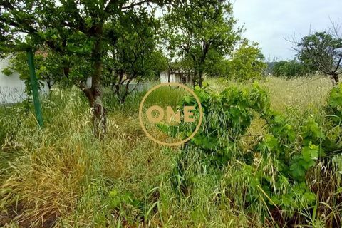 Terra a Chamusca, Santarem, Chamusca - € 110.000 | Ref: ONE501995-14 - foto 8