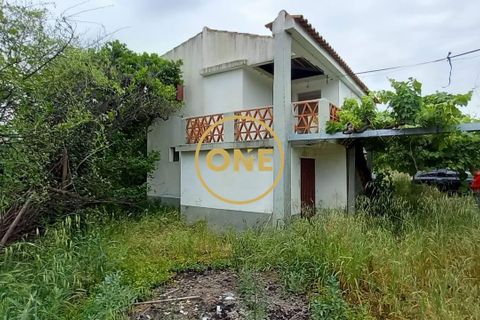 Terra a Chamusca, Santarem, Chamusca - € 110.000 | Ref: ONE501995-14 - foto 10