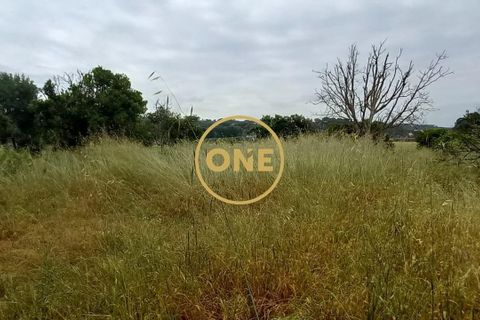 Terra a Chamusca, Santarem, Chamusca - € 110.000 | Ref: ONE501995-14 - foto 11