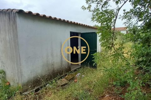 Terra a Chamusca, Santarem, Chamusca - € 110.000 | Ref: ONE501995-14 - foto 16