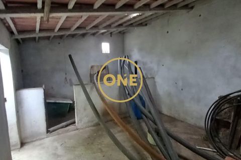 Terra a Chamusca, Santarem, Chamusca - € 110.000 | Ref: ONE501995-14 - foto 17
