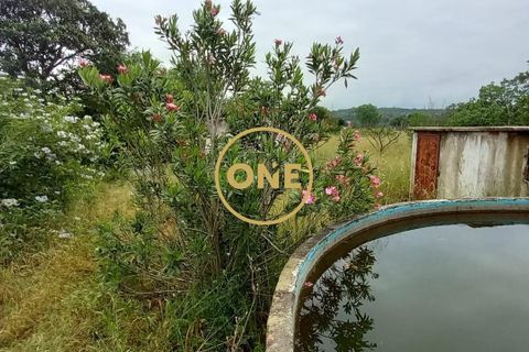 Terra a Chamusca, Santarem, Chamusca - € 110.000 | Ref: ONE501995-14 - foto 24