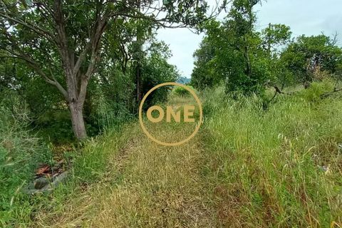 Terra a Chamusca, Santarem, Chamusca - € 110.000 | Ref: ONE501995-14 - foto 25