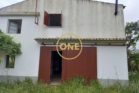 Terra a Chamusca, Santarem, Chamusca - € 110.000 | Ref: ONE501995-14 - foto 27