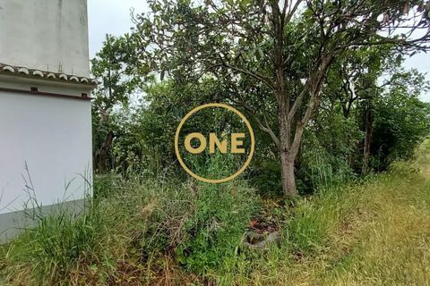 Terra a Chamusca, Santarem, Chamusca - € 110.000 | Ref: ONE501995-14 - foto 29