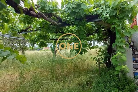 Terra a Chamusca, Santarem, Chamusca - € 110.000 | Ref: ONE501995-14 - foto 35