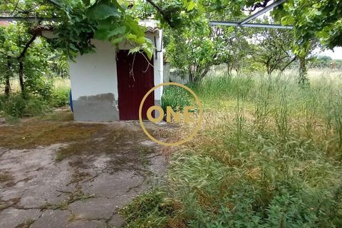 Terra a Chamusca, Santarem, Chamusca - € 110.000 | Ref: ONE501995-14 - foto 36