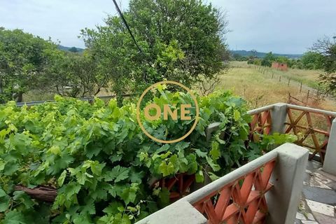 Terra a Chamusca, Santarem, Chamusca - € 110.000 | Ref: ONE501995-14 - foto 42