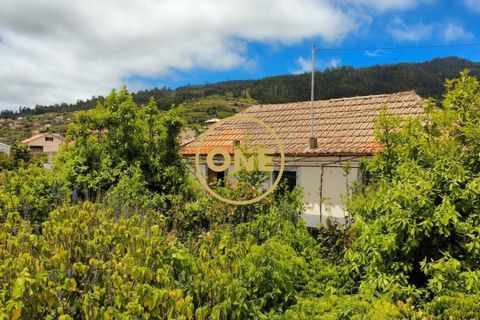 Byhus i Calheta, Madeira, Calheta - € 400.000 | Ref: ONE361752-15 - foto 9