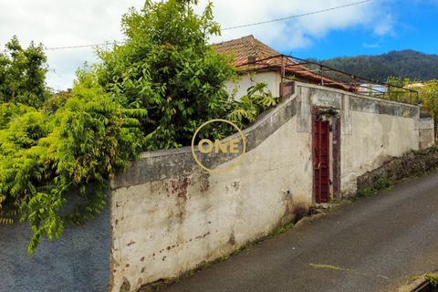 Byhus i Calheta, Madeira, Calheta - € 400.000 | Ref: ONE361752-15 - foto 10