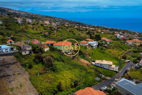 Byhus i Calheta, Madeira, Calheta - € 400.000 | Ref: ONE361752-15 - foto 16