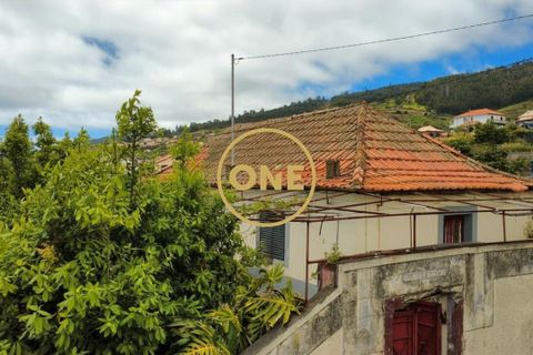 Byhus i Calheta, Madeira, Calheta - € 400.000 | Ref: ONE361752-15 - foto 20