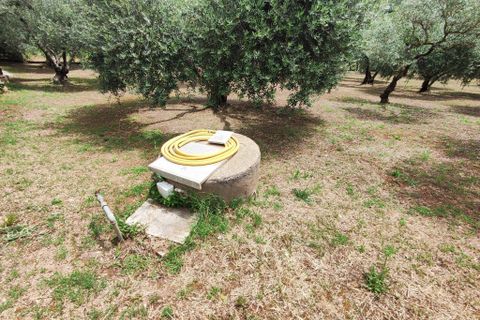 Lejlighed i Marcellina, Rome, Marcellina - € 170.000 | Ref: 288 - foto 2