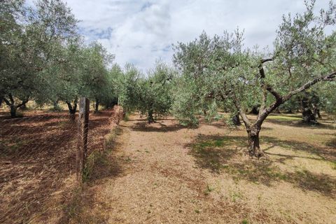 Lejlighed i Marcellina, Rome, Marcellina - € 170.000 | Ref: 288 - foto 8