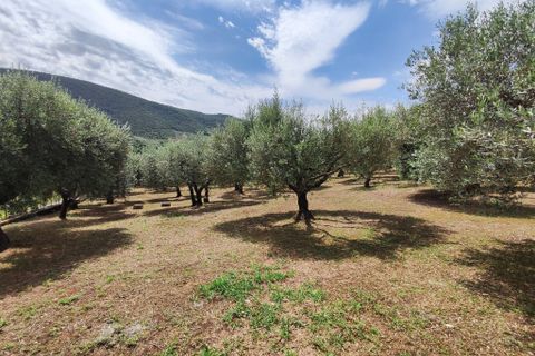 Lejlighed i Marcellina, Rome, Marcellina - € 170.000 | Ref: 288 - foto 9