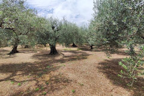 Lejlighed i Marcellina, Rome, Marcellina - € 170.000 | Ref: 288 - foto 47