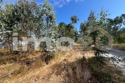 Tomt i Monte Real, Leiria, Monte Real - € 50 000 | Ref: IMO_92 - foto 2
